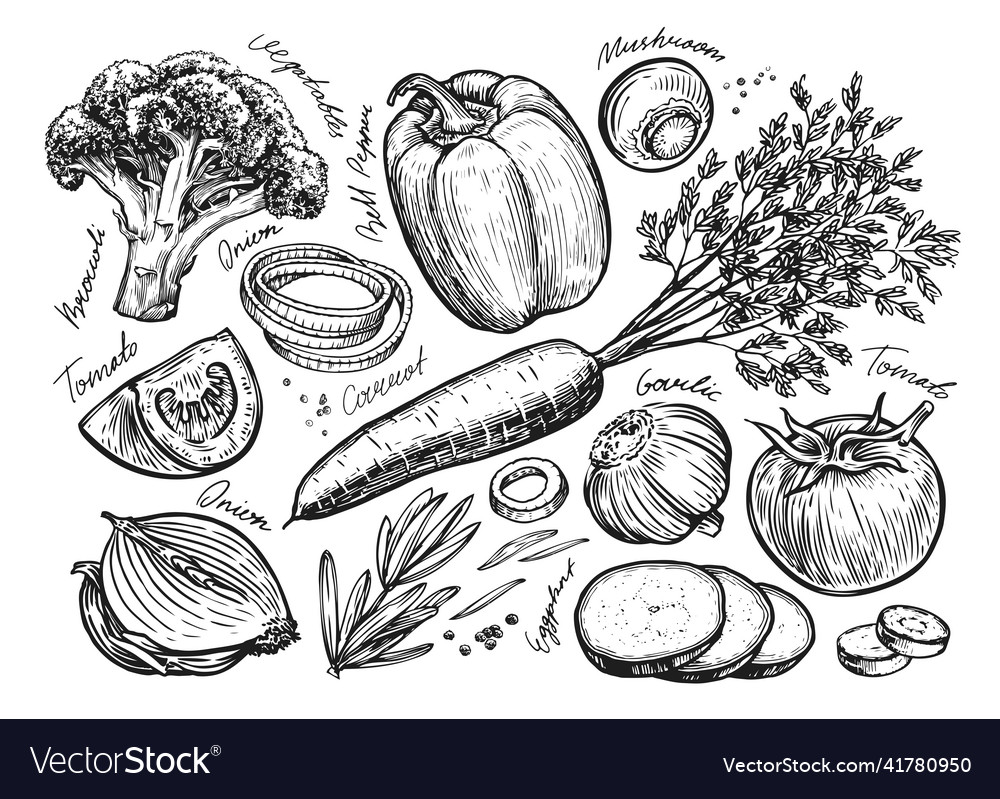 Vegetables set sketch farm organic food hand Vector Image