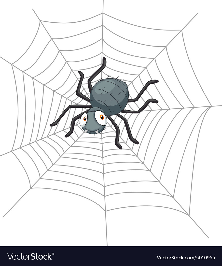 Cartoon spider Royalty Free Vector Image - VectorStock