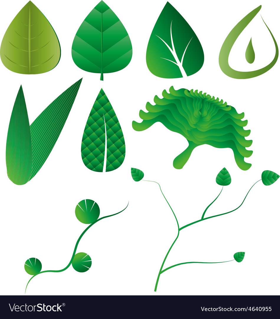 Leaf Leaves Collection Royalty Free Vector Image Leaf Leaves Collection Royalty Free Vector Image