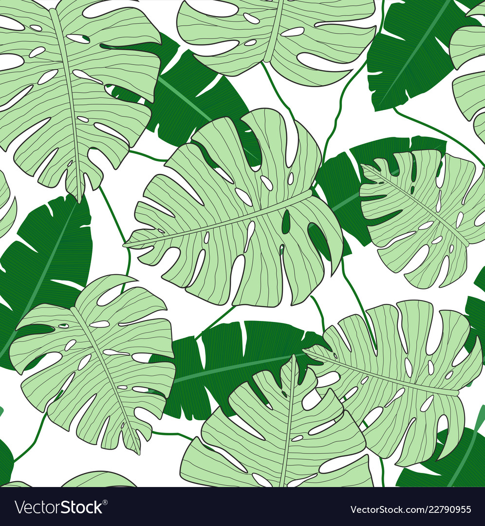Monstera leaves seamless vector image Monstera leaves seamless