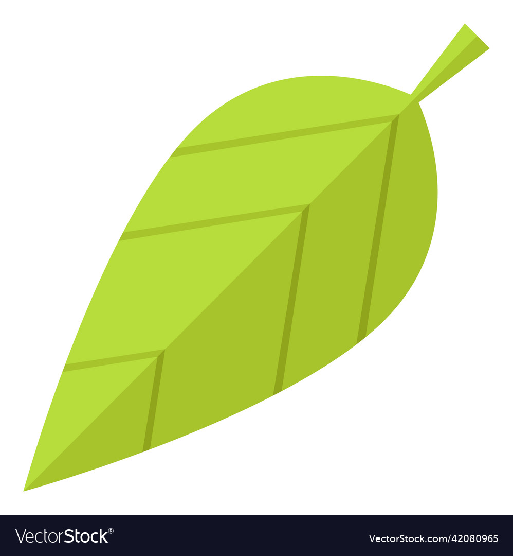 Green leaf fresh spring foliage symbol nature Vector Image