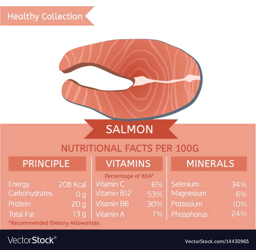 Healthy collection fish Royalty Free Vector Image