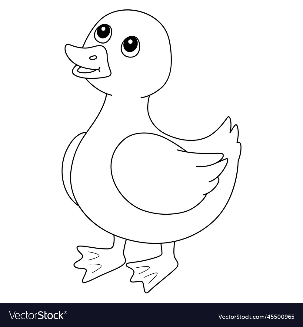 Spring duckling isolated coloring page for kids Vector Image