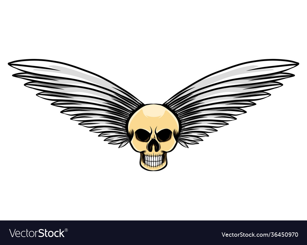 Big feather in vintage dead skull Royalty Free Vector Image