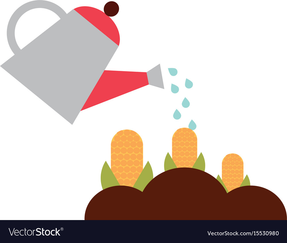 Farming sprinkler with corn cultivation Royalty Free Vector