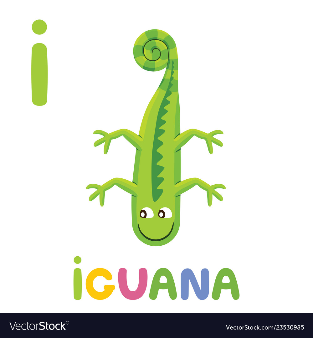 I is for iguana letter i iguana cute animal Vector Image