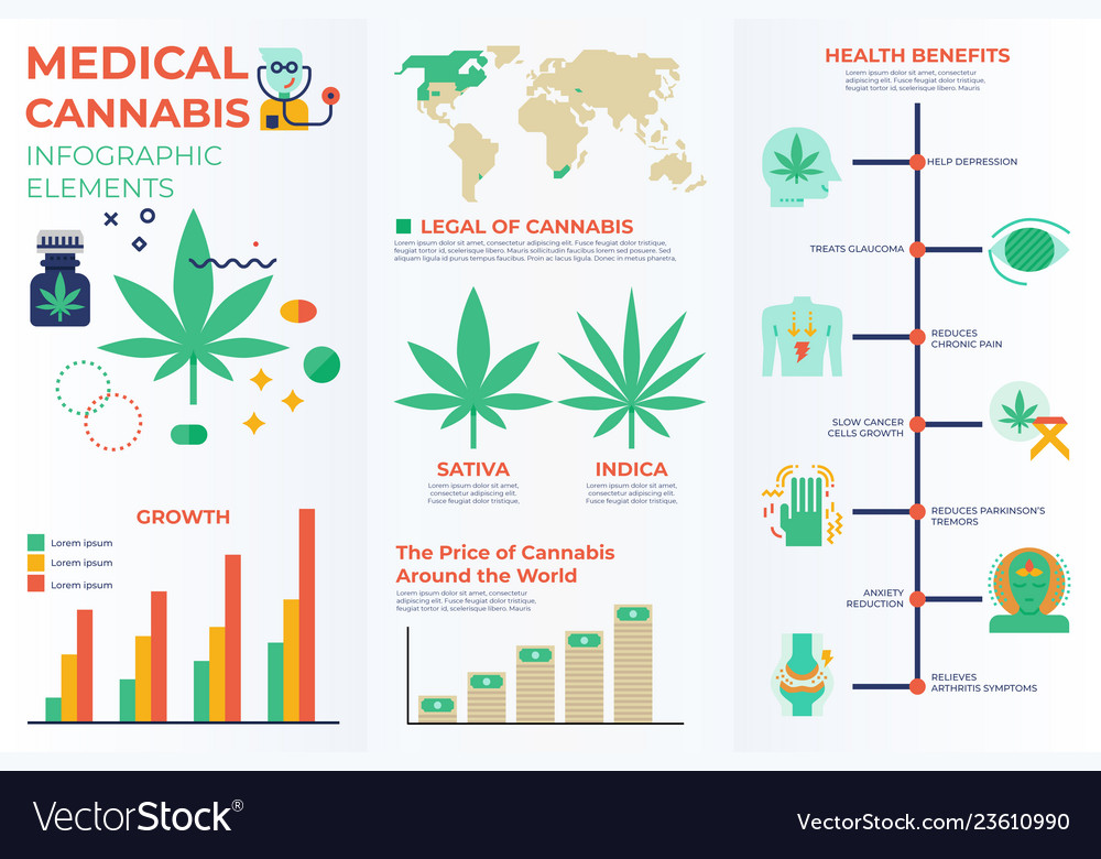 Medical Cannabis Infographic Elements Royalty Free Vector