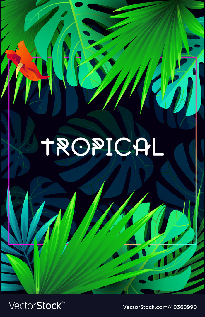Summer tropical background design Royalty Free Vector Image