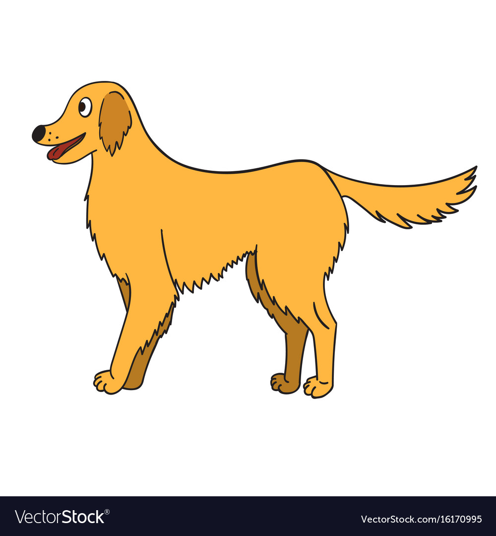 Cute cartoon golden retriever isolated on white Vector Image