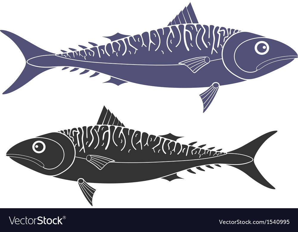 Mackerel Royalty Free Vector Image VectorStock