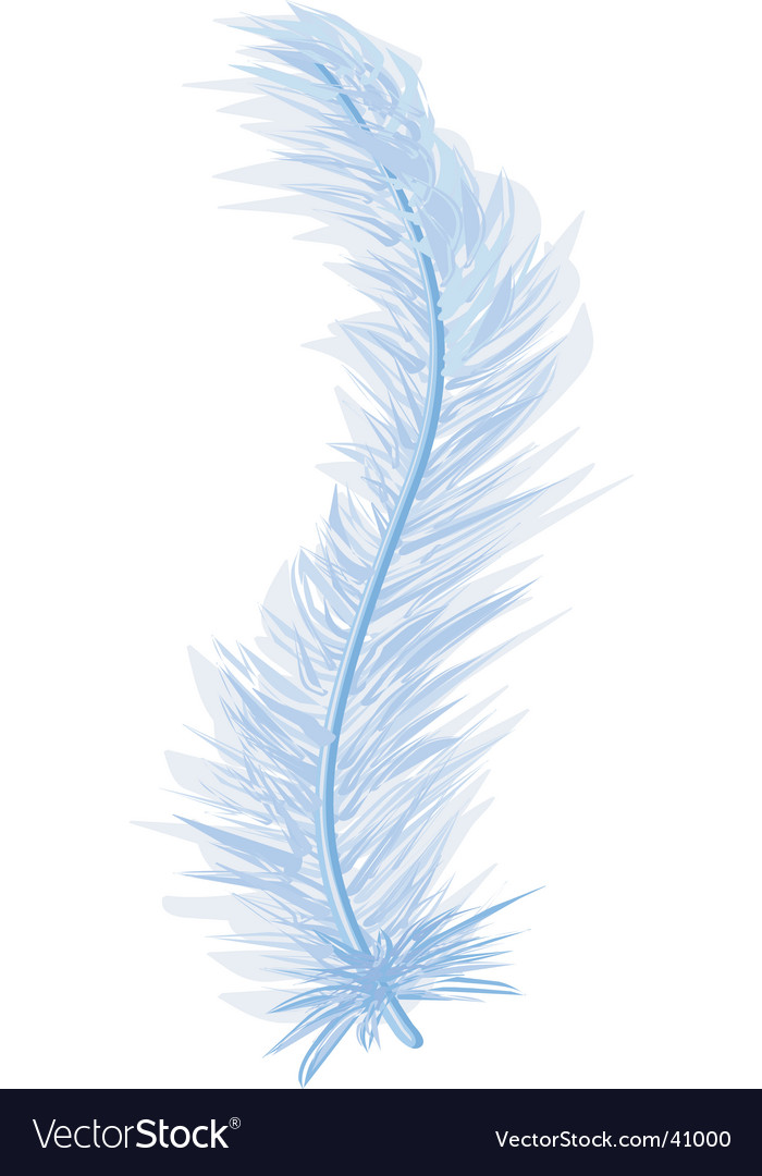 Feather Royalty Free Vector Image - VectorStock