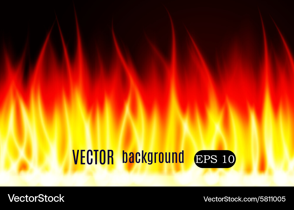 Burn flame fire background Royalty Free Vector Image