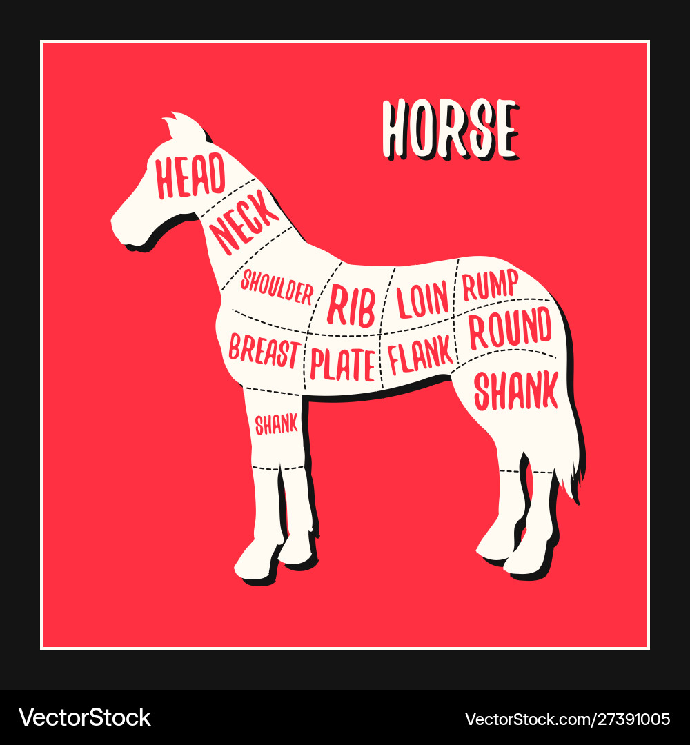 Horse meat cutting charts Royalty Free Vector Image