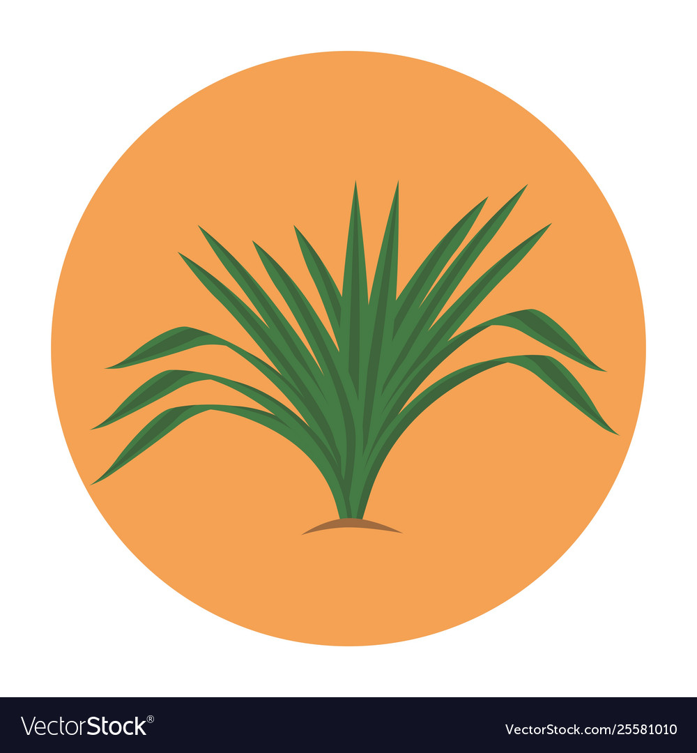 Pandanus Leaf Vector Images 32 Ini behind the scene lagu indonesia, di video ini juga ada tingkah laku dari kami personil daun pandan yg buat kalian tertawa, dan jangan lupa subscribe chan. vectorstock