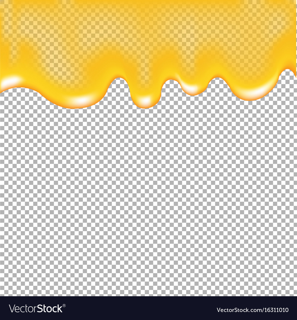 Honey With Transparent Background Royalty Free Vector Image