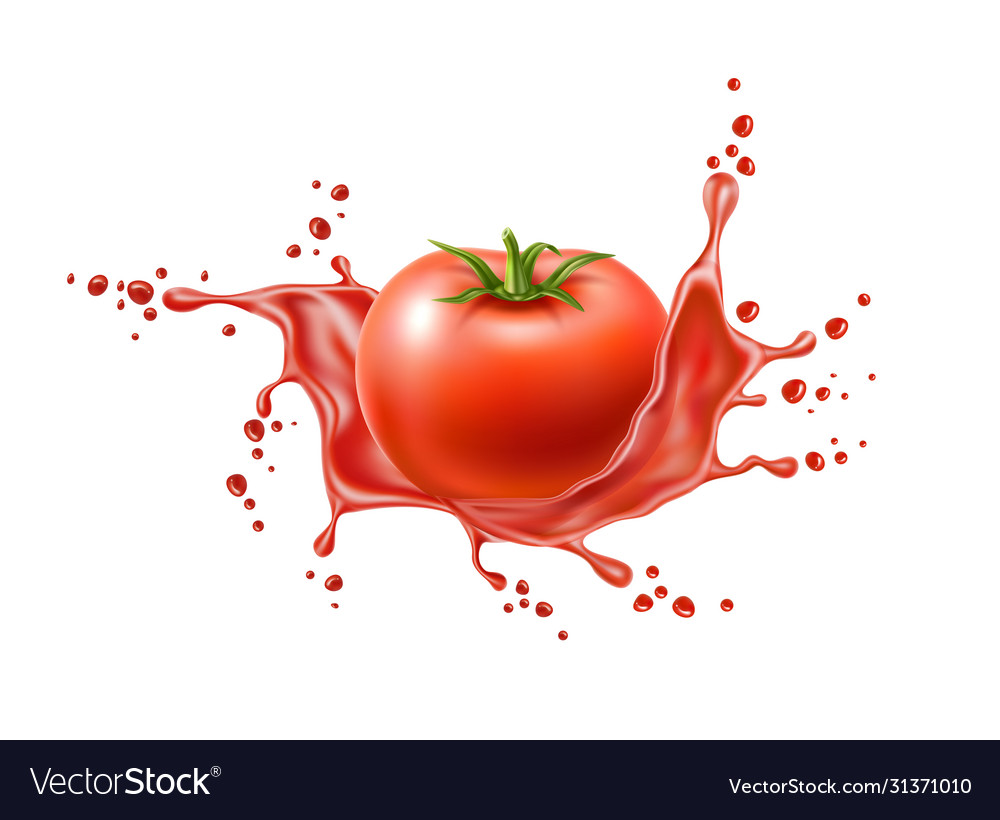 Realistic ripe tomato red juice splash Royalty Free Vector
