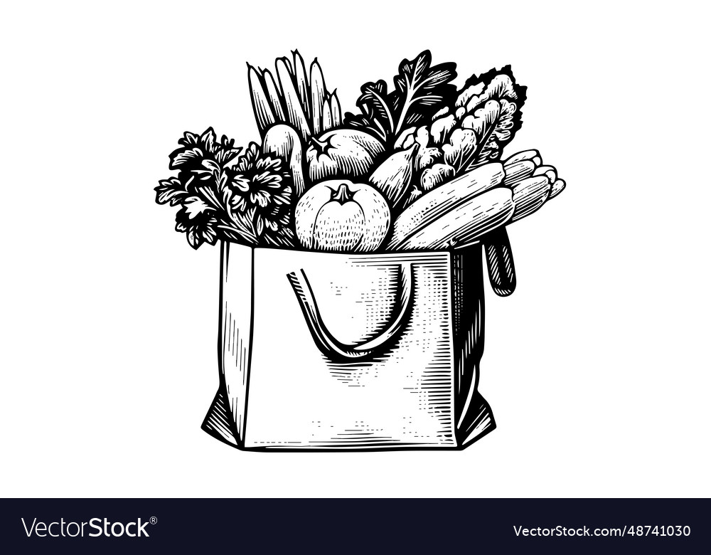 Grocery bag full of food engraving sketch Vector Image