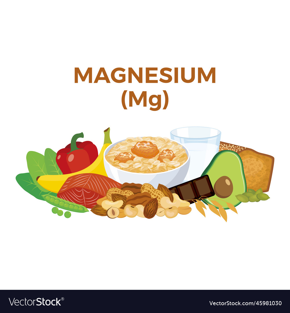 Magnesium Mg In Food Icon Set Royalty Free Vector Image