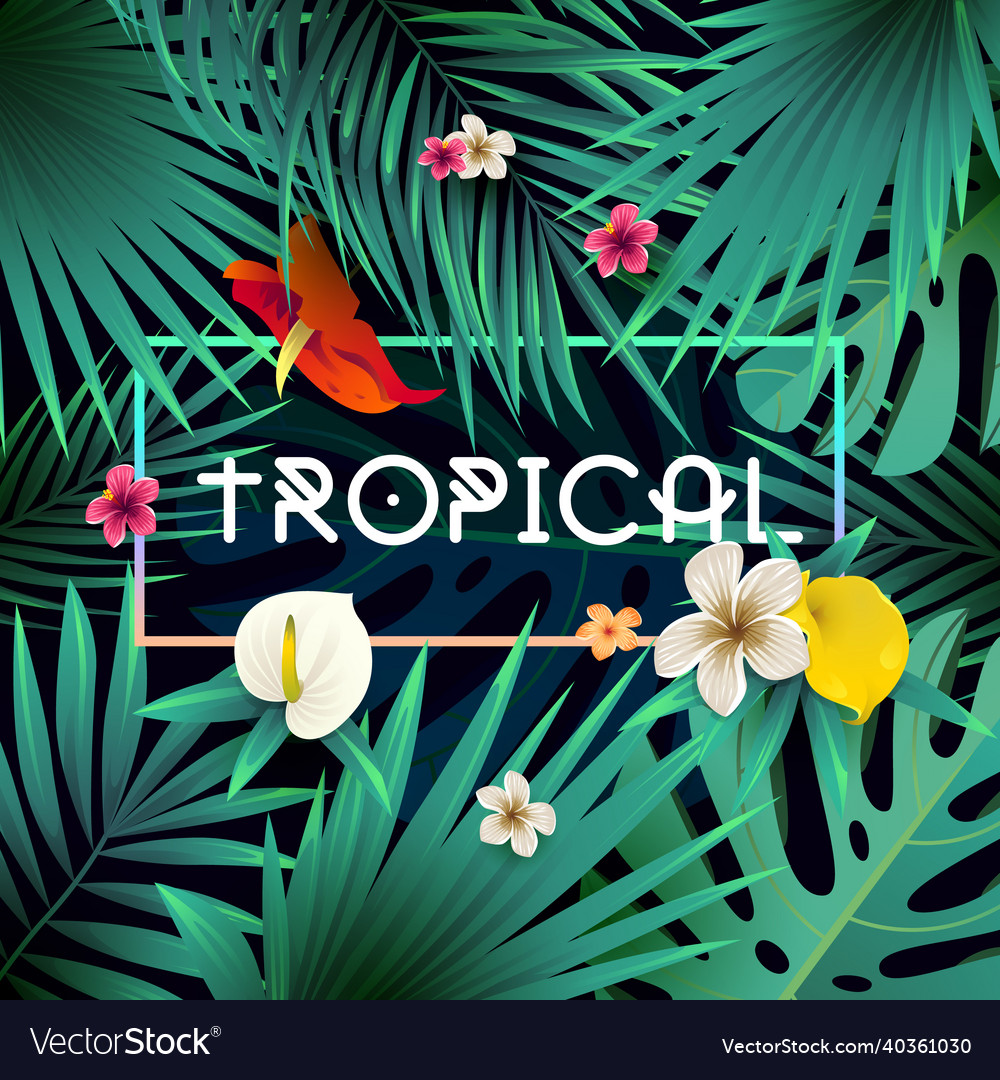 Summer tropical background design Royalty Free Vector Image
