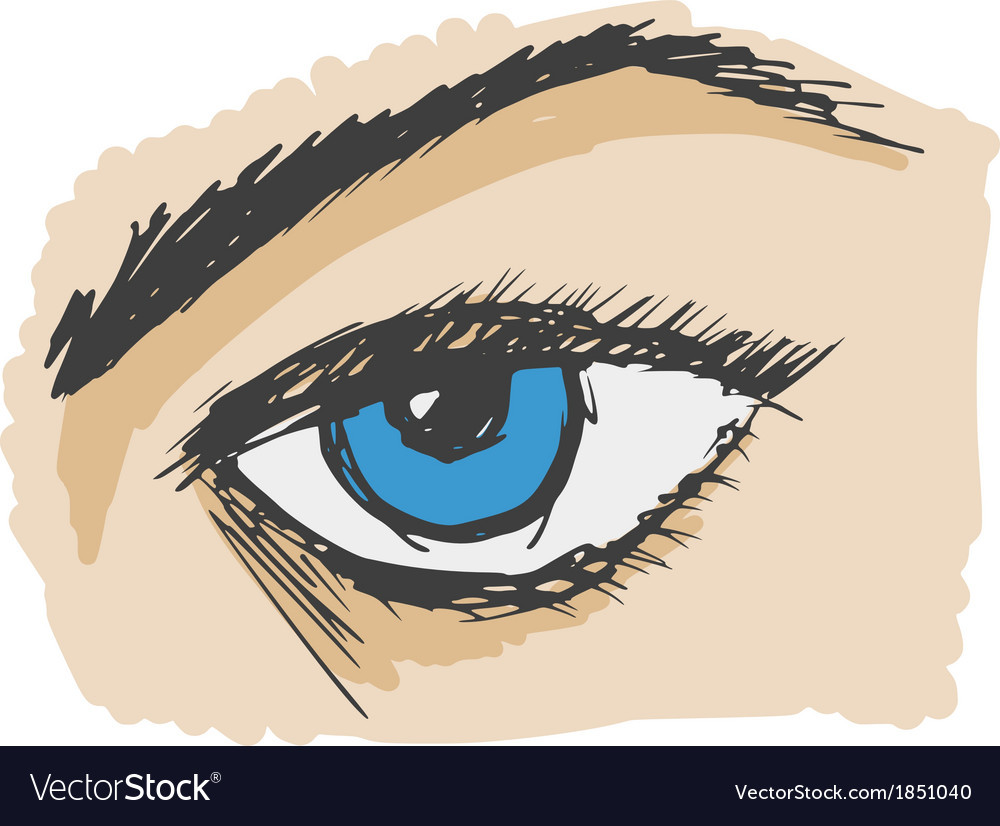 Human eye Royalty Free Vector Image - VectorStock