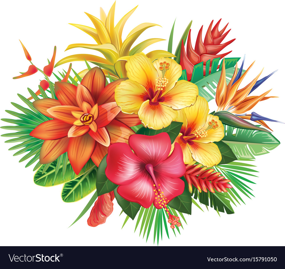 Arrangement from tropical  flowers  Royalty Free Vector  Image