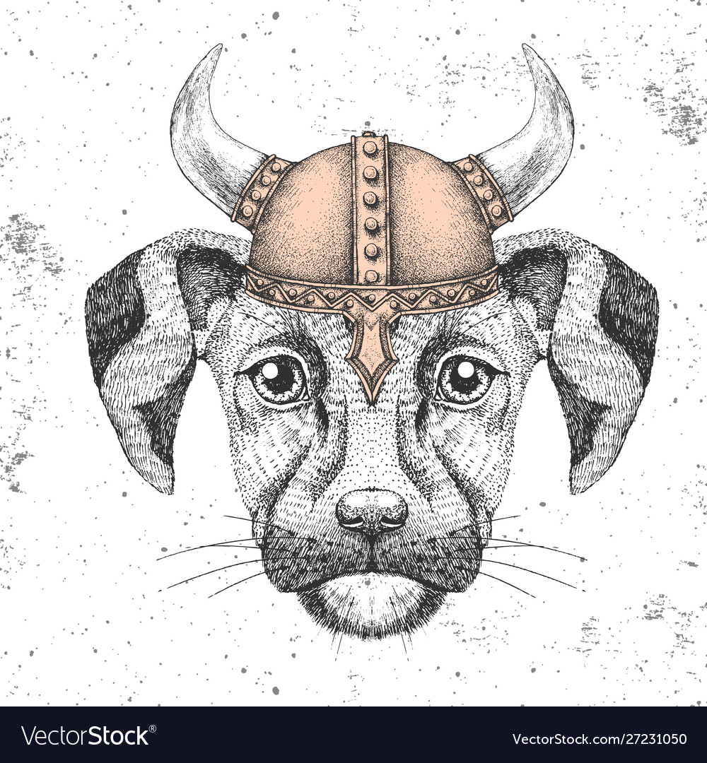 Dog hotsell viking helmet