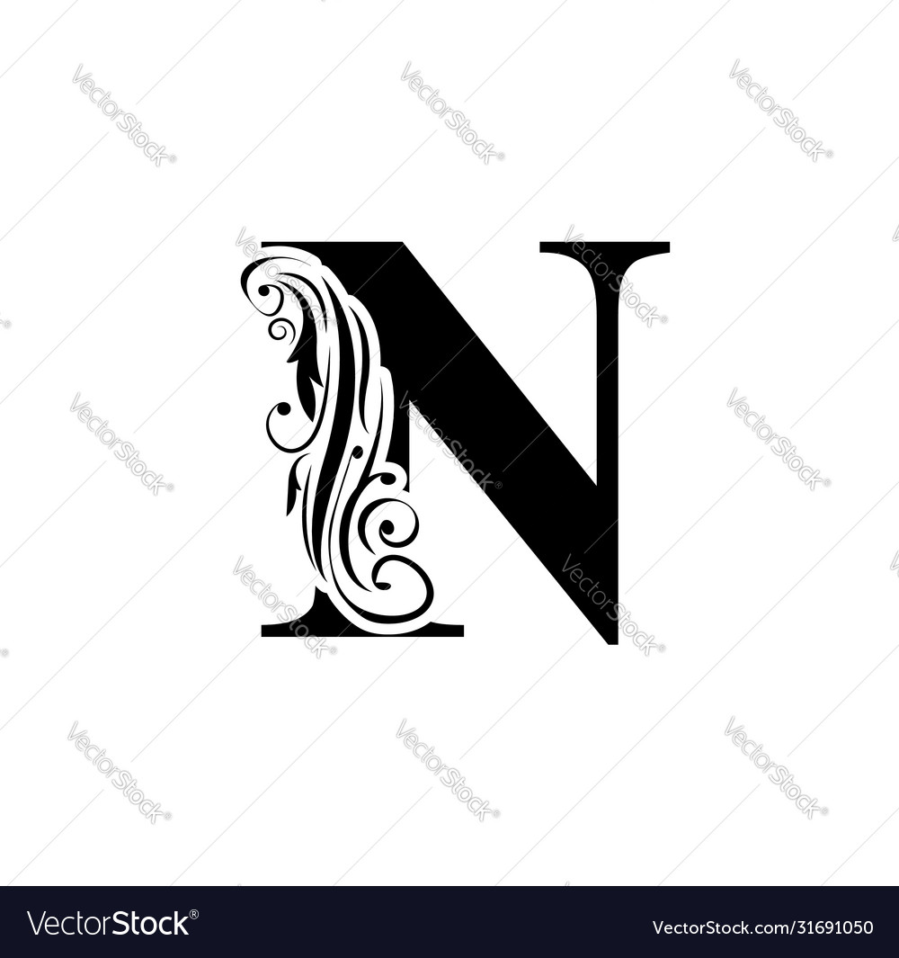 Letter n vintage black flower ornament initial Vector Image