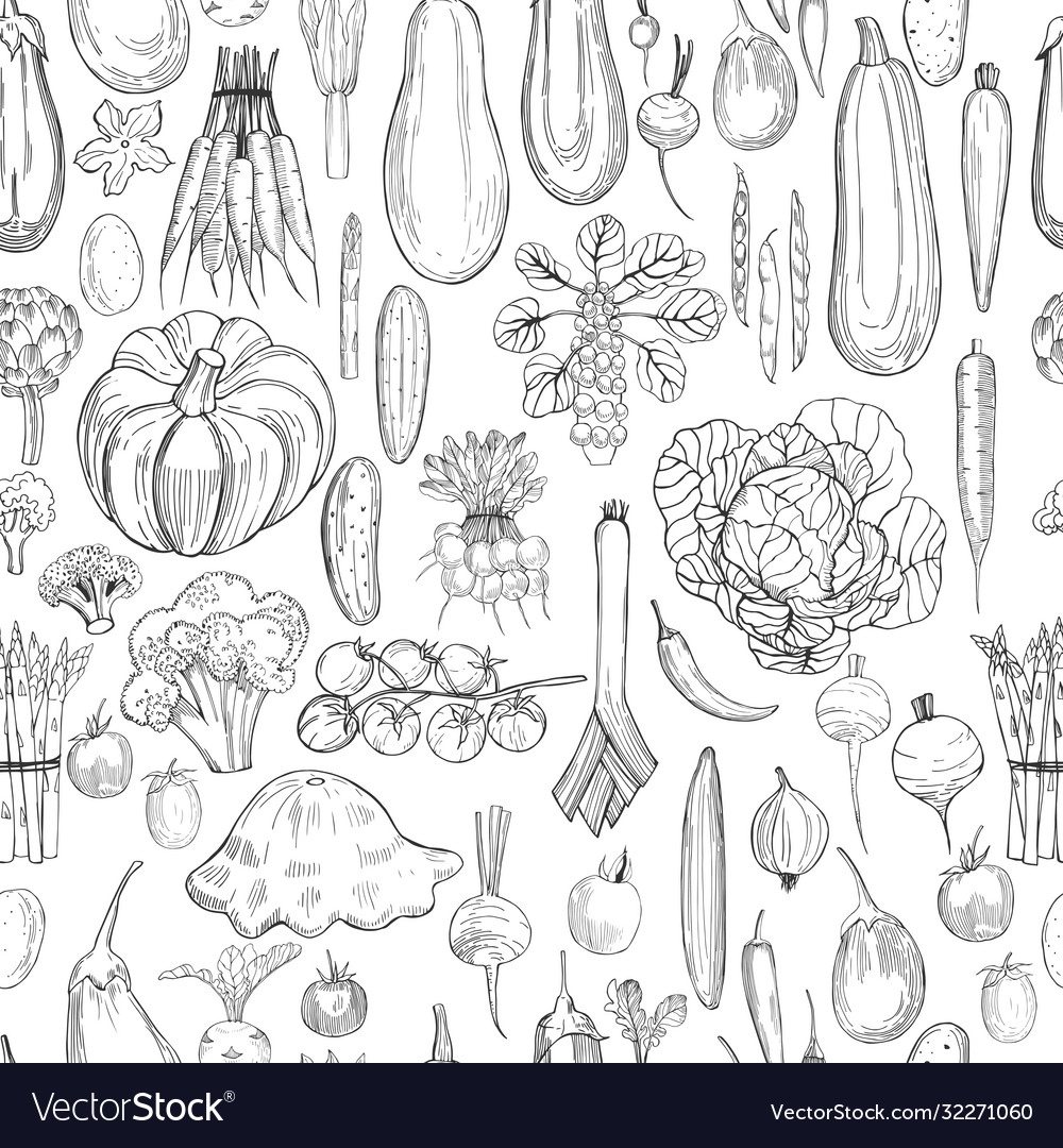 Hand drawn vegetables on white background Vector Image