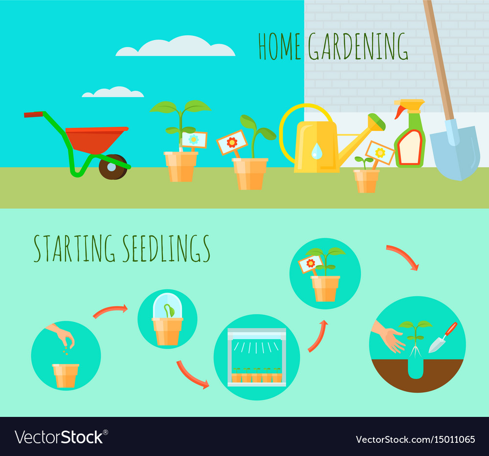 Seedling horizontal banners set Royalty Free Vector Image