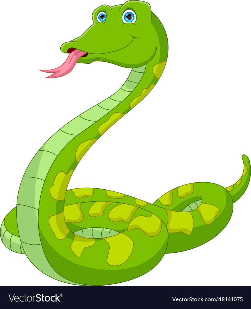 Cute snake cartoon Royalty Free Vector Image - VectorStock