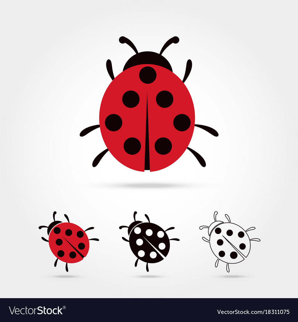 Ladybug Royalty Free Vector Image - VectorStock