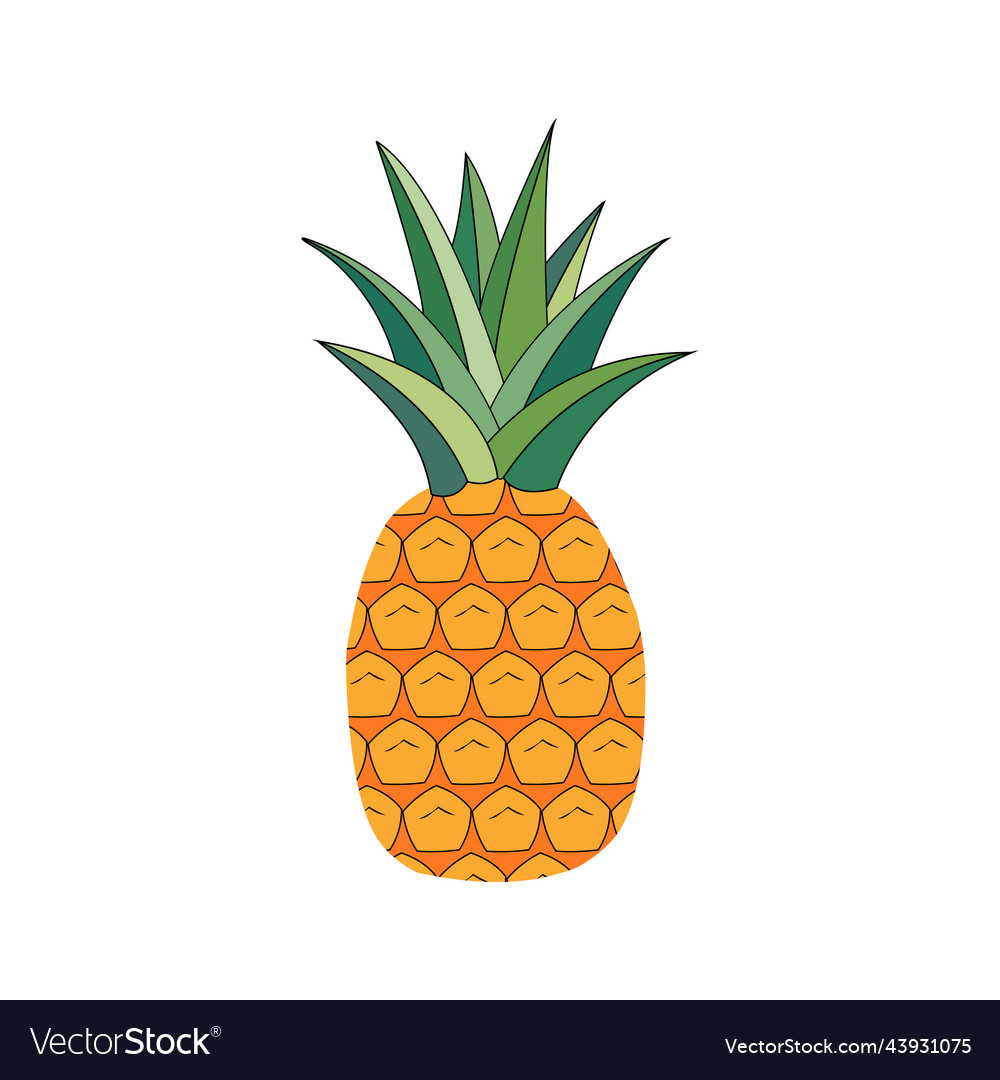 Pineapple Fruit Royalty Free Vector Image Vectorstock 2992