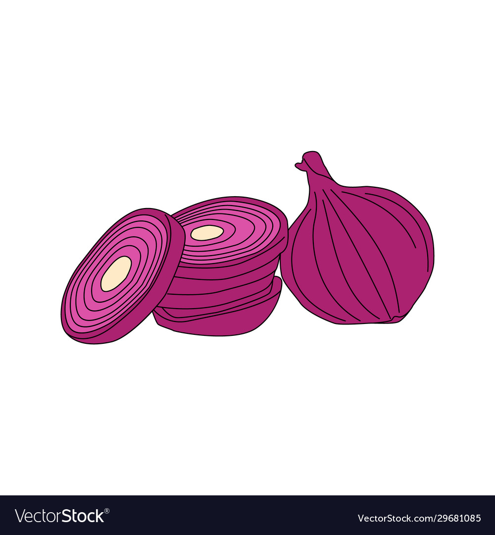 Hand Drawn Cartoon Image Shallots Shallot Stock Illustration 2356306605