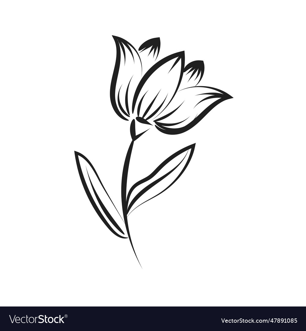 Hand drawn spring flower design Royalty Free Vector Image