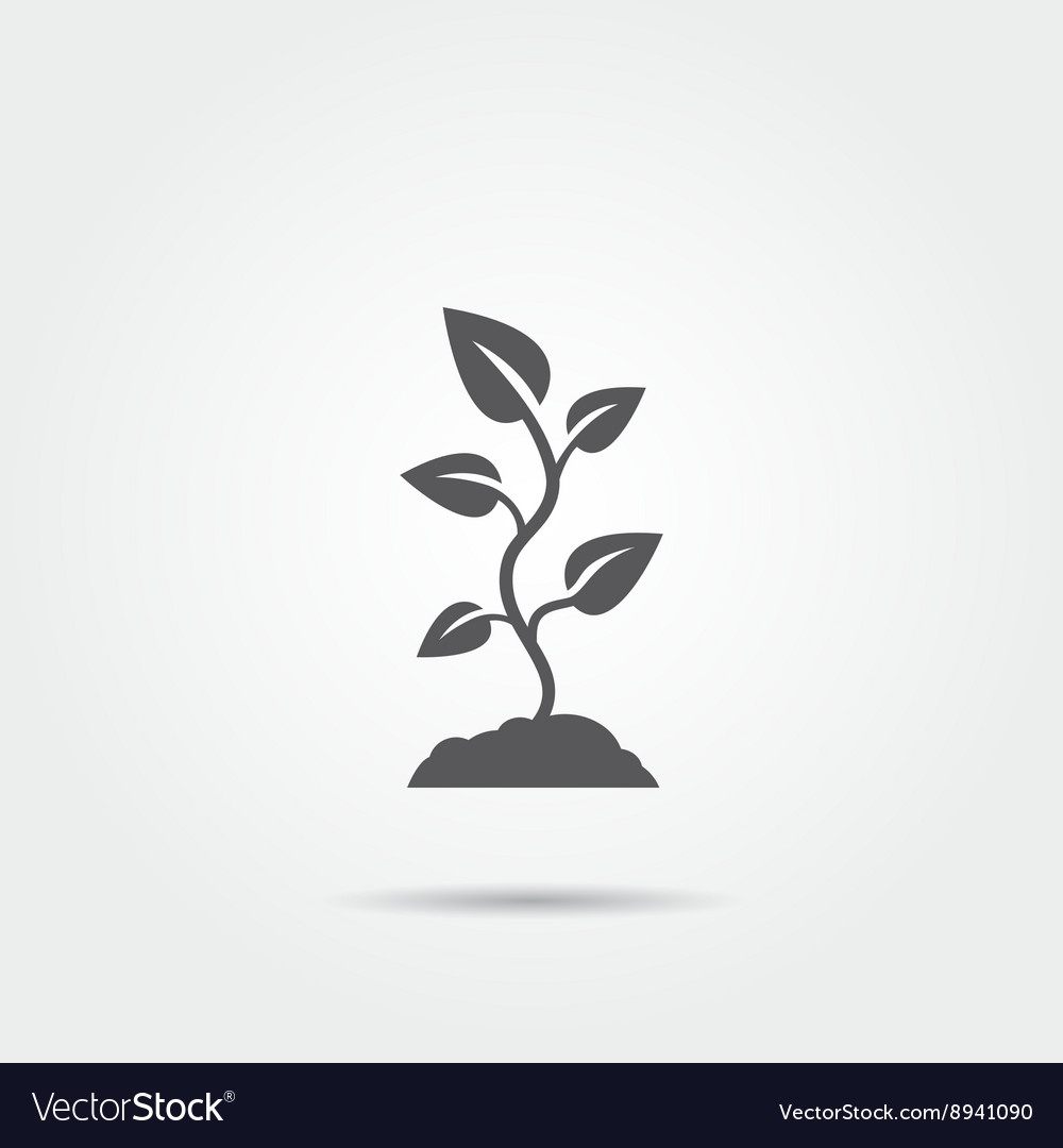 Plant sprout icon