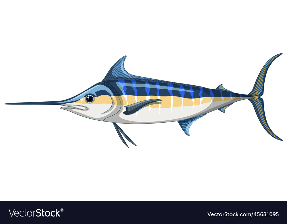 Atlantic blue marlin on white background Vector Image