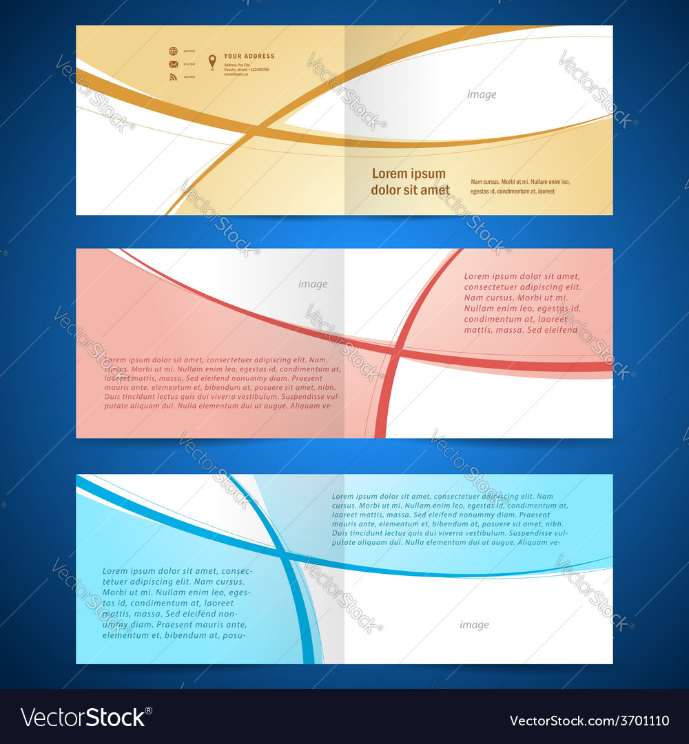 brochure design template booklet album curve line vector image