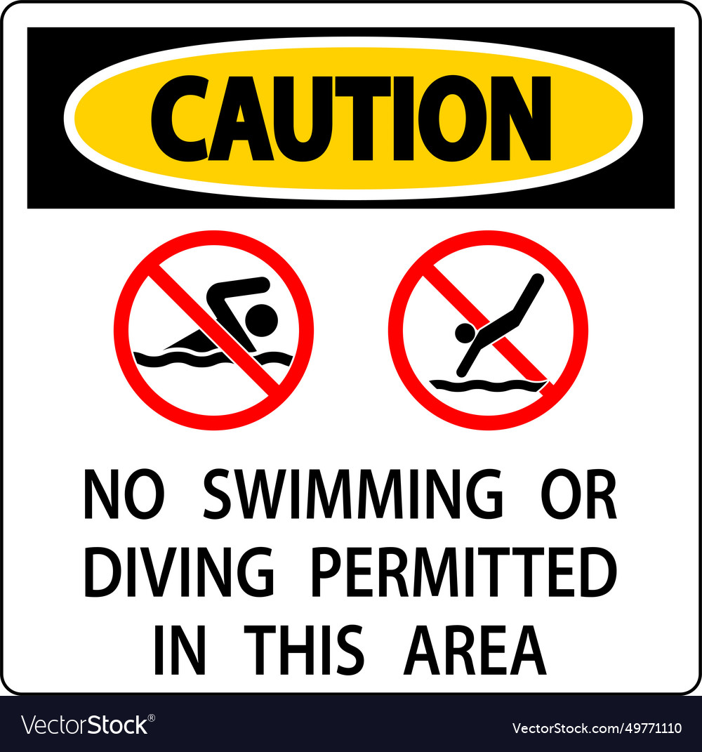 Pool caution sign no swimming or diving permitted Vector Image