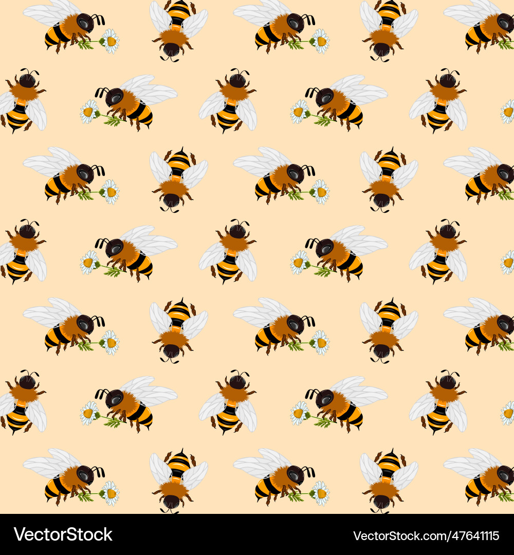 Pattern with bees Royalty Free Vector Image - VectorStock