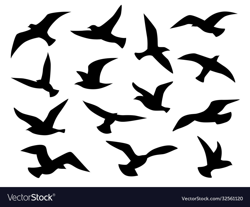 Bird silhouettes flying birds flock black vector image Bird silhouettes flying birds flock black
