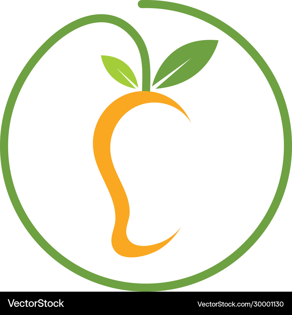 Mango fruit Royalty Free Vector Image - VectorStock