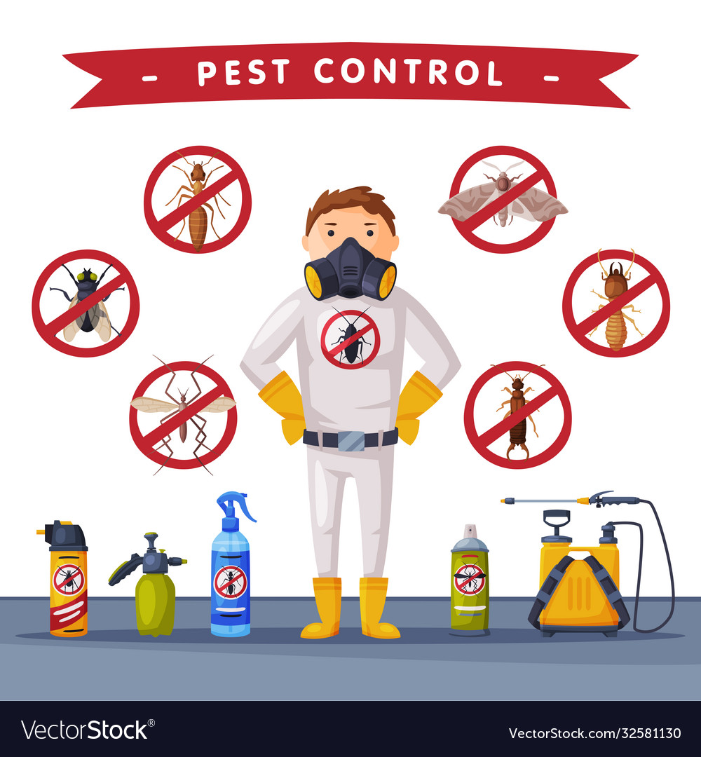 Professional home pest service banner template Vector Image