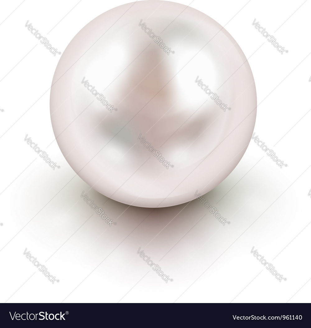 Pearl Royalty Free Vector Image - VectorStock