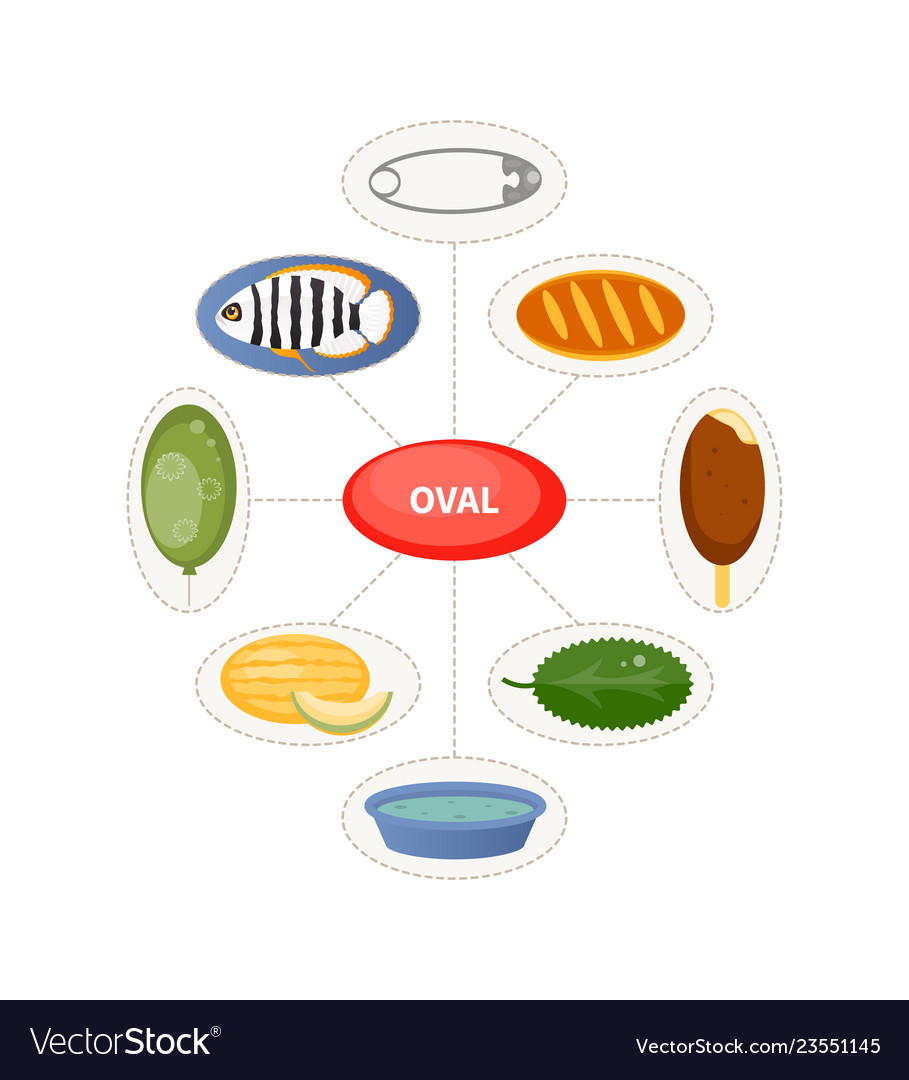 Oval and oval objects for children Royalty Free Vector Image