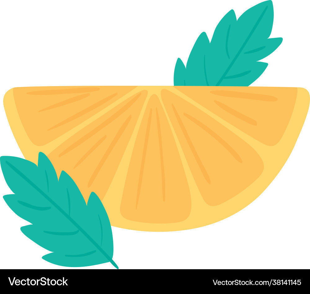 Slice lemon fruit Royalty Free Vector Image - VectorStock