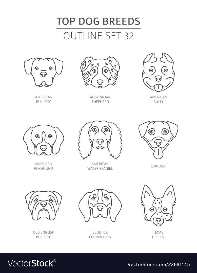 Top dog breeds pet outline collection Royalty Free Vector