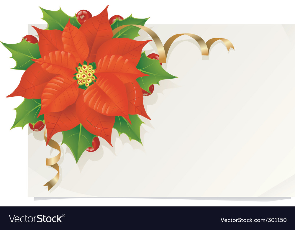 christmas card with poinsettia poinsettia card