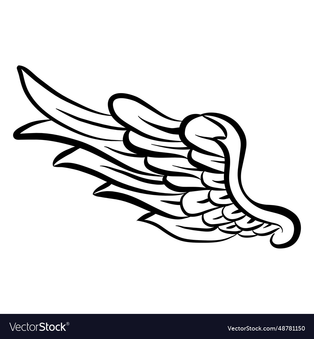 Detailed wing silhouette open Royalty Free Vector Image