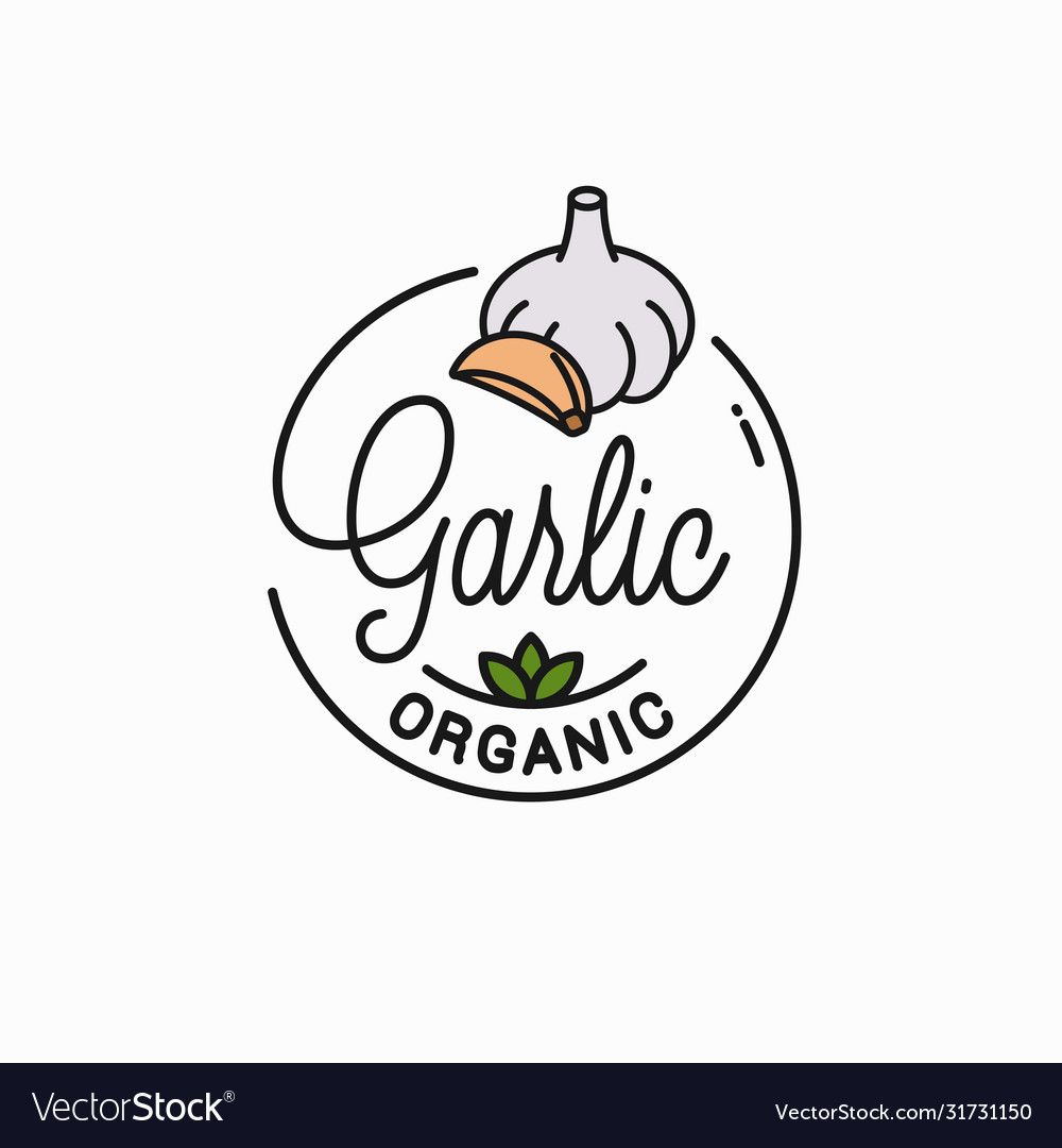 Garlic bulb logo round linear garlic cloves Vector Image