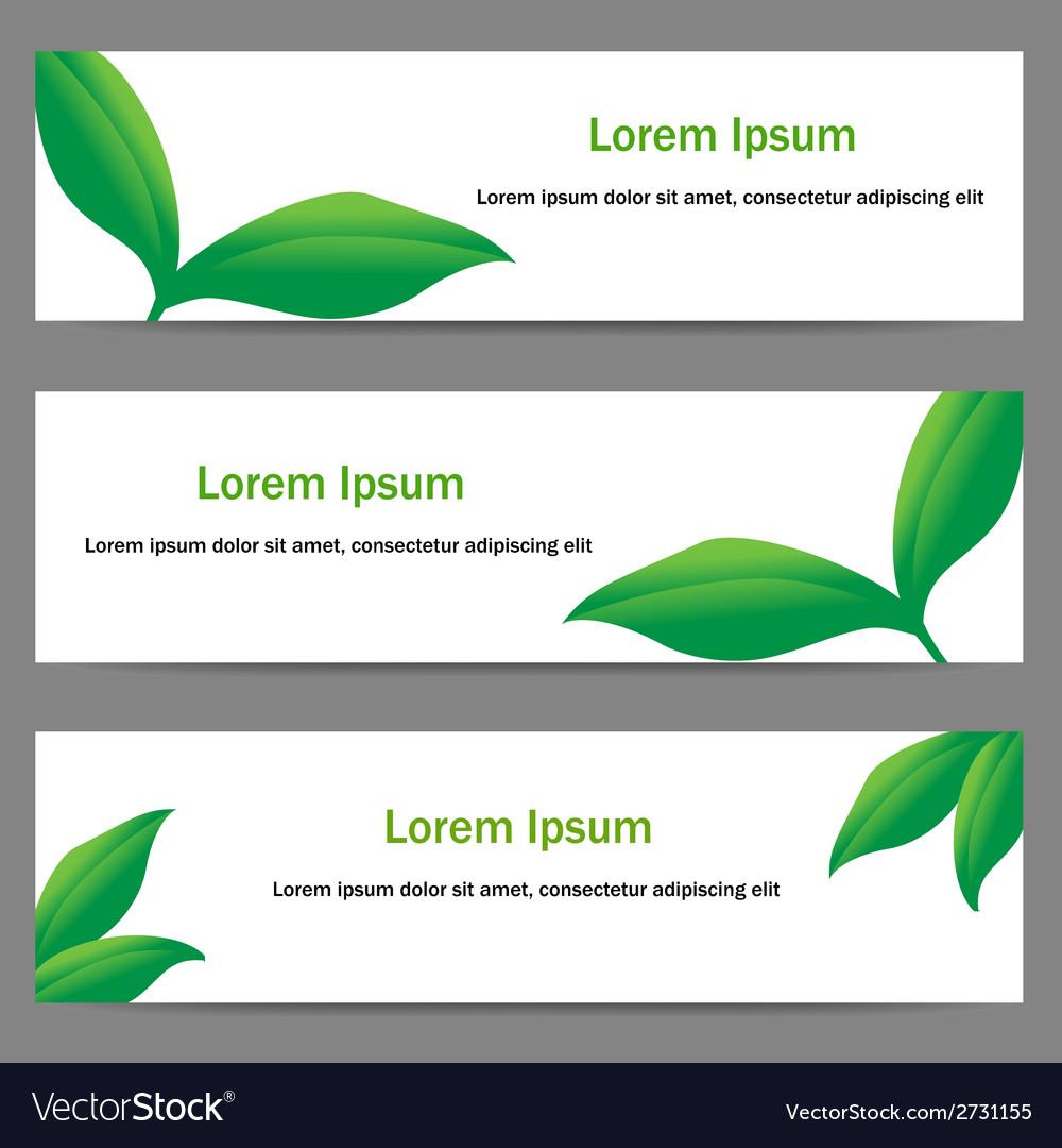 Banners with green leaves Royalty Free Vector Image